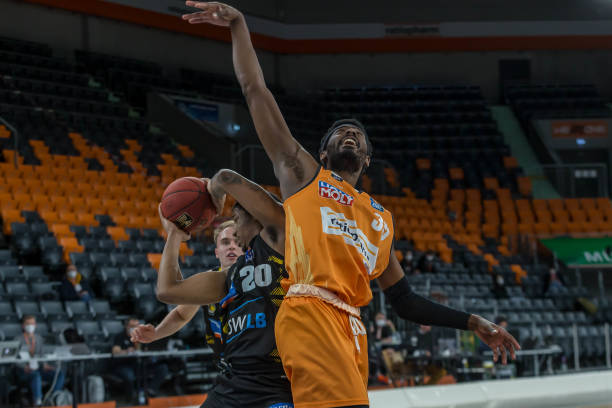 巴西动物多 巴西动物多